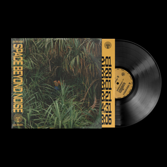 not even noticed - Space beyond noise : LP