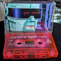 Disrupt - Secret Level