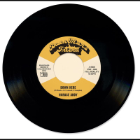 Horace Andy - Down Here