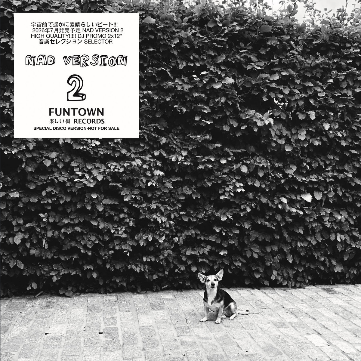 レコードショップ NEWTONE RECORDS:輸入レコード通販サイト