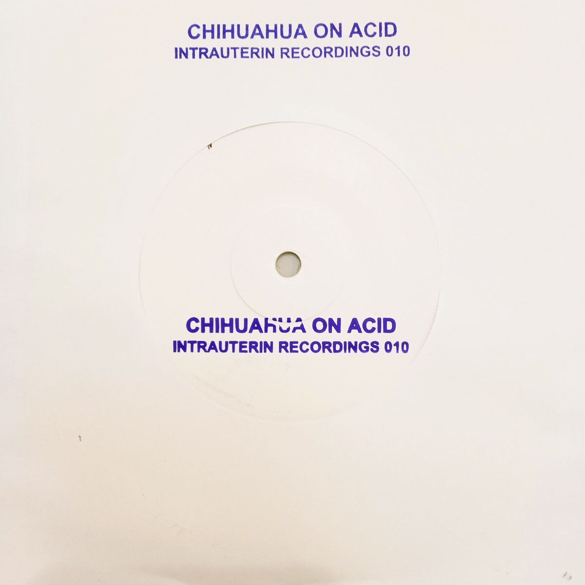 Chihuahua On Acid - Chihuahua On Acid : 7inch