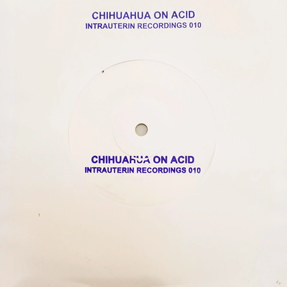 Chihuahua On Acid - Chihuahua On Acid : 7inch