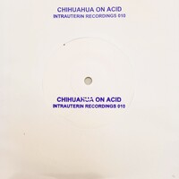 Chihuahua On Acid - Chihuahua On Acid