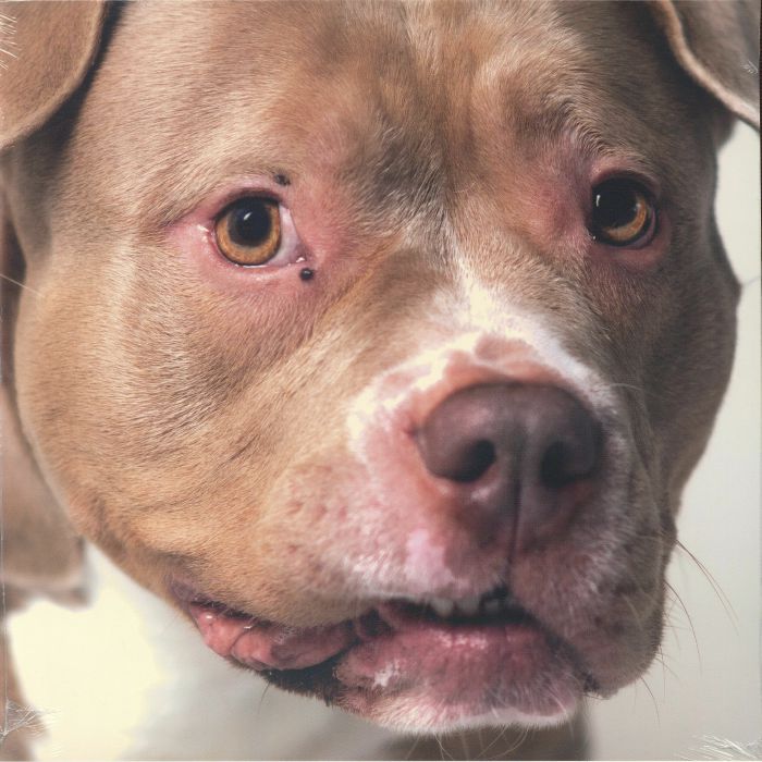 Y.O.P.E. & AVVNT MM - Music for Dogs : LP