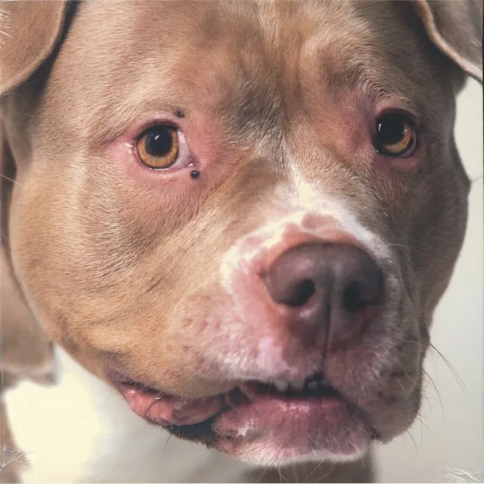 Y.O.P.E. & AVVNT MM - Music for Dogs : LP