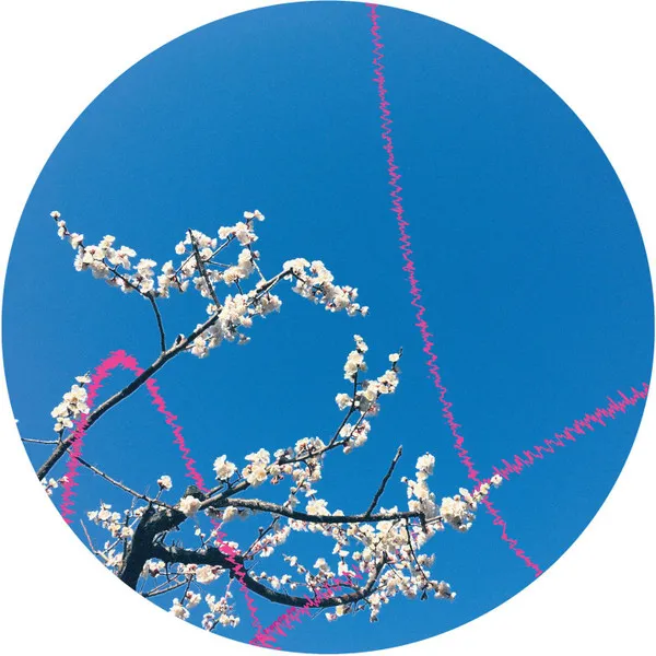 Extra - Flowerchild : 12inch