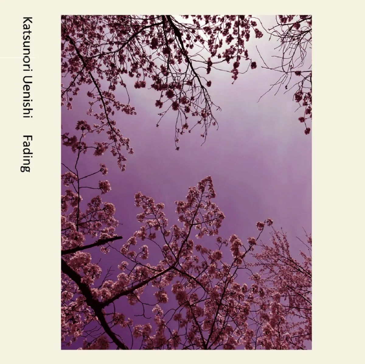 Katsunori Uenishi - Fading : CASSETTE