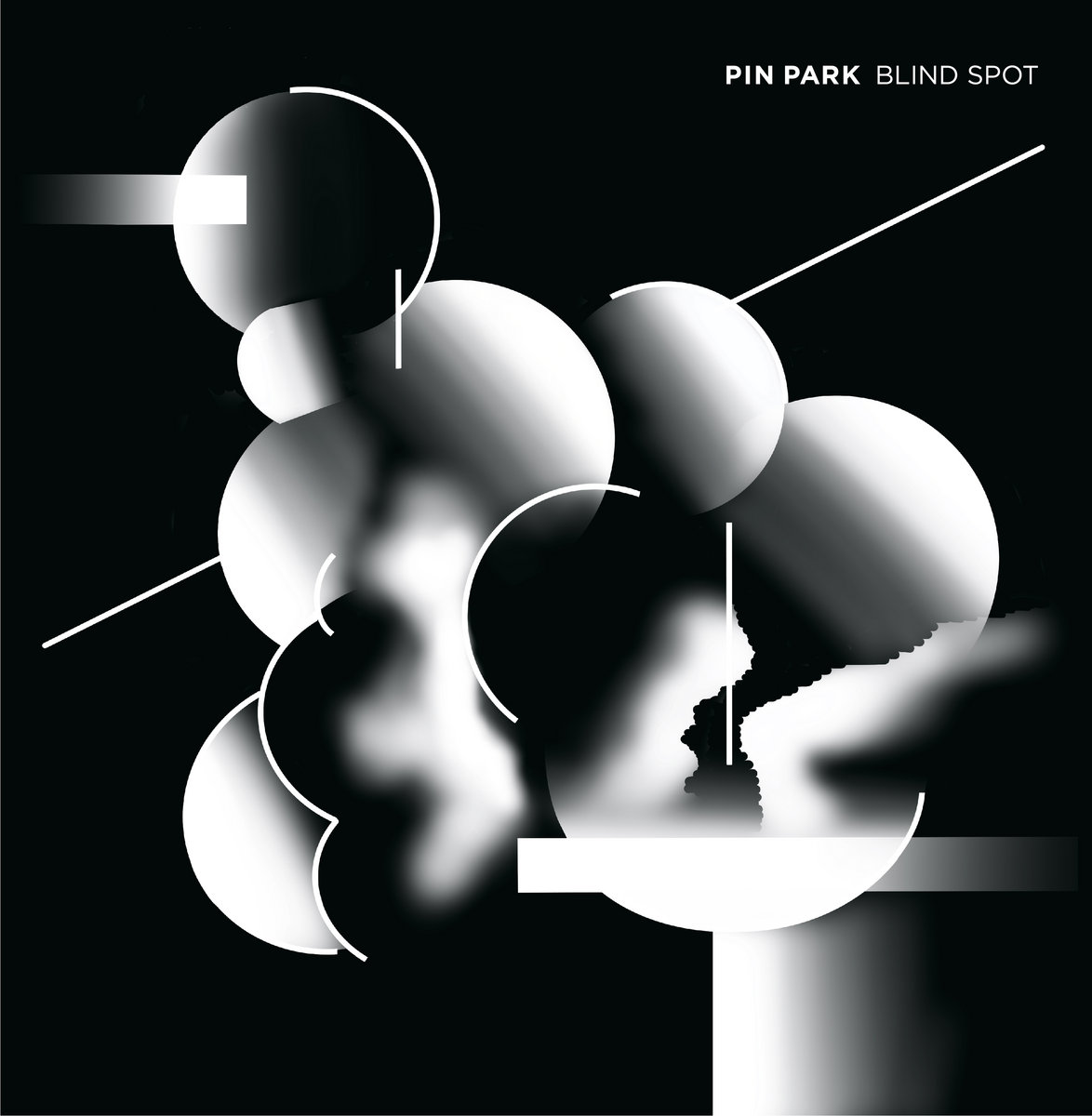 Pin Park - Blind Spot : LP(180g)