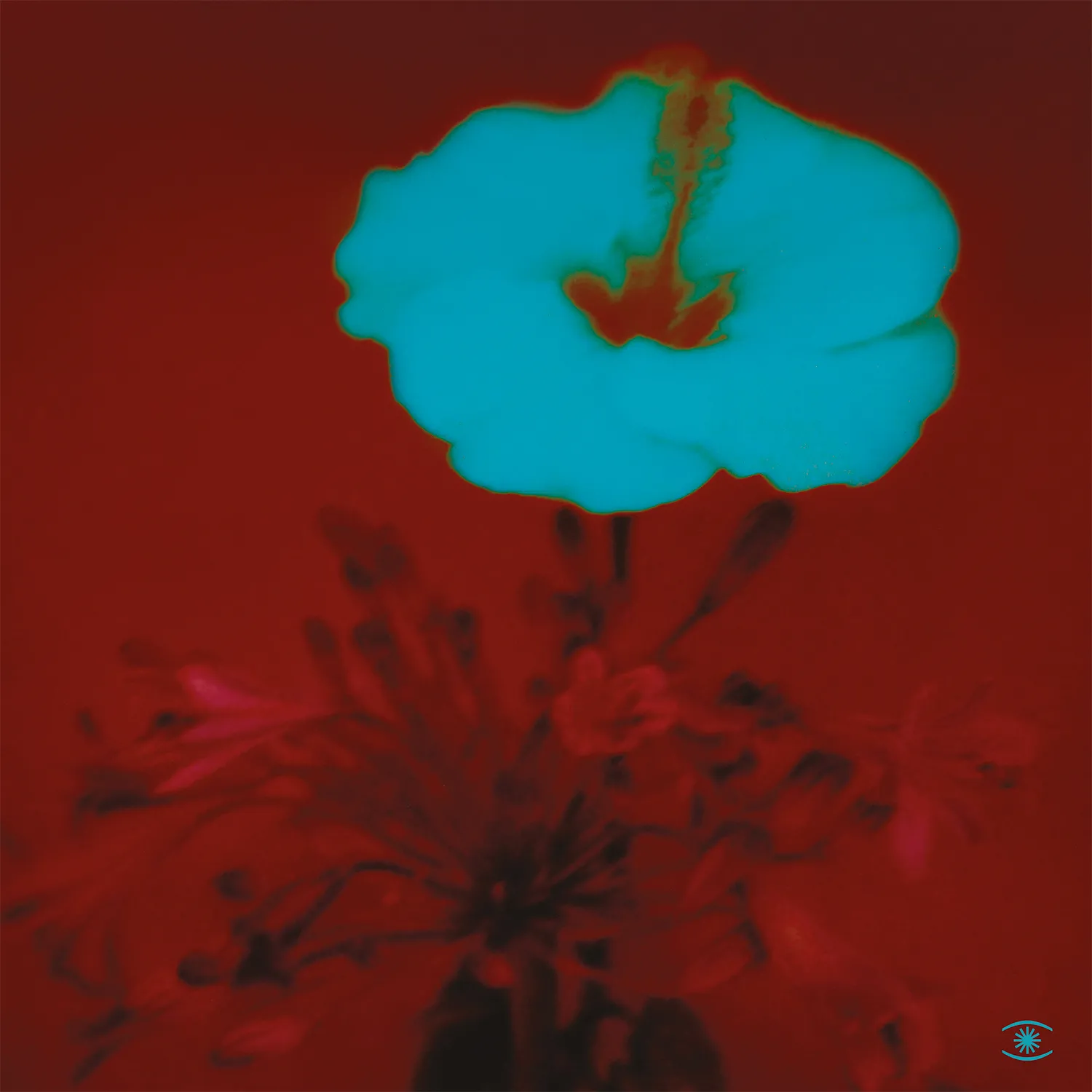 John Beltran - Sunrise And The Way We Live (2LP) : 2LP