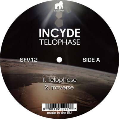 Incyde - Telophase : 12inch