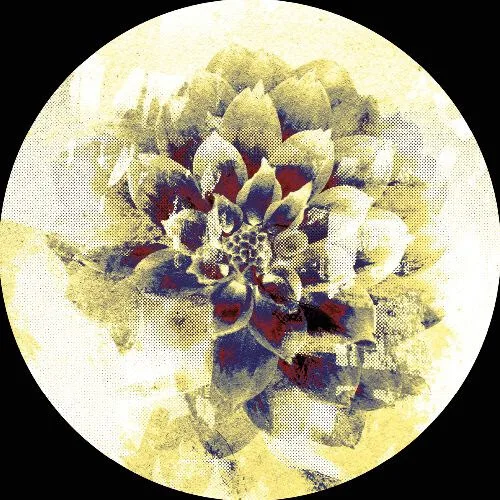 Various - Infernal Sounds presents: IFSDIGIV001 : 12inch