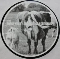 Shed - These Kinky Dudes From Germany : 12inch