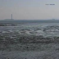 Fennesz - Black Sea : LP