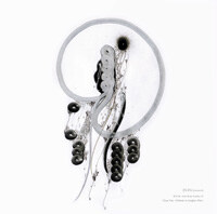 Juzu a.k.a. Moochy - JUZU Presents ''Movement'' EP1