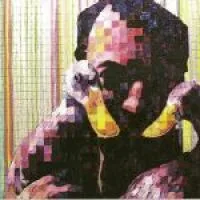 Jason Willett - The Sounds Of Megaphone Unlimited : CD