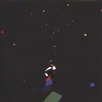 Floating Points - Shadows : 2×12inch