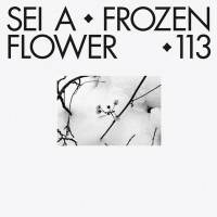 Sei A - FROZEN FLOWER