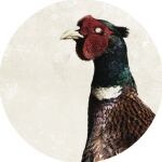 Ivano Tetelepta - Throwdown House / That Deep Shit : 12inch