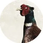 Ivano Tetelepta - Throwdown House / That Deep Shit : 12inch