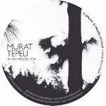 Murat Tepeli - In The Mood For…
