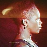 Ford & Lopatin / Shannon Funchess / Tamaryn - Snakes / Flying Dream : LP