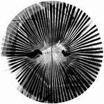Crazy P - Changes (Appleblim Remixes)