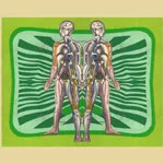 Frak - Muzika Electronic : LP