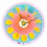 Cosmosign - Live in PRATAS : CD-R