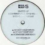 Scrimshire - Everything You Say - Lv & Scrimshire Mixes : 12inch