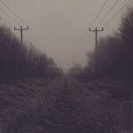 Shifted - Crossed Paths