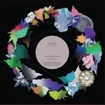 Soft Rocks - Talking Jungle / Obo (REMIX) : 12inch