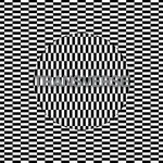 Carter Tutti Void - Transverse : LP