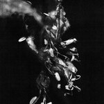 Mike Shiflet - Sufferers : LP