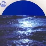 Seahawks - Tender Abyss : LP