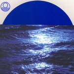 Seahawks - Tender Abyss