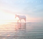 The Beauty - Love In The Heart Of The World Shout : CD