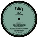 Nicuri - Paradigms : 12inch