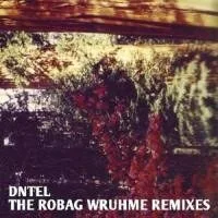 Dntel - The Robag Wruhme Remixes : 12inch