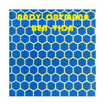 Andy Ortmann / Ben Vida - Split LP