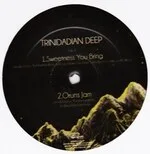 Trinidadian Deep - Sweetness You Bring : 12inch