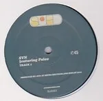 SW. / SVN - Untitled : 12inch