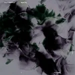 Sophie Hutchings - Night Sky : CD