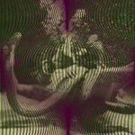 AARON DILLOWAY & JASON LESCALLEET - Grapes and Snakes