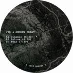 Vid & Andrew Grant - Inlove / Fear : 12inch