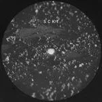 Markus Suckut - SCKT 02 : 12inch