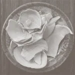 Bee Mask - Vaporware / Scanops : LP