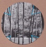 Four Tet - Lion/Peace For Earth