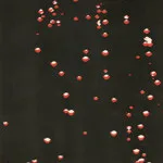 Container - LP : LP