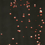 Container - LP