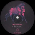 Troy Gunner - Masks/The Valley : 12inch